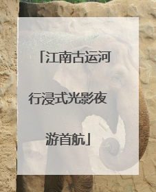 江南古运河行浸式光影夜游首航
