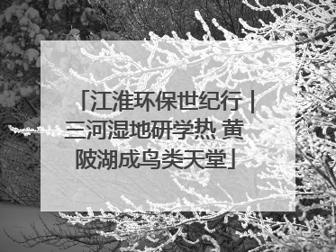 江淮环保世纪行｜三河湿地研学热 黄陂湖成鸟类天堂