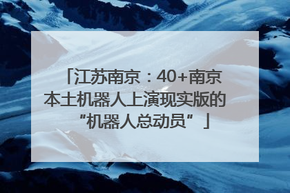 江苏南京：40+南京本土机器人上演现实版的“机器人总动员”