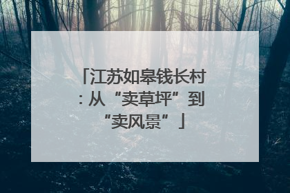 江苏如皋钱长村：从“卖草坪”到“卖风景”