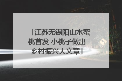 江苏无锡阳山水蜜桃首发 小桃子做出乡村振兴大文章