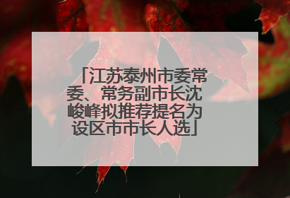 江苏泰州市委常委、常务副市长沈峻峰拟推荐提名为设区市市长人选
