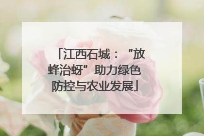 江西石城：“放蜂治蚜”助力绿色防控与农业发展