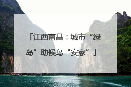 江西南昌：城市“绿岛”助候鸟“安家”