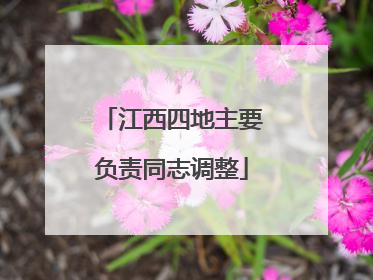 江西四地主要负责同志调整