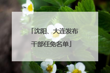 沈阳、大连发布干部任免名单