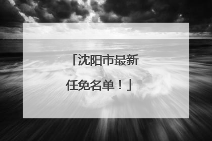 沈阳市最新任免名单！