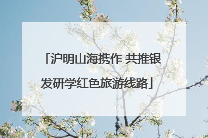 沪明山海携作 共推银发研学红色旅游线路