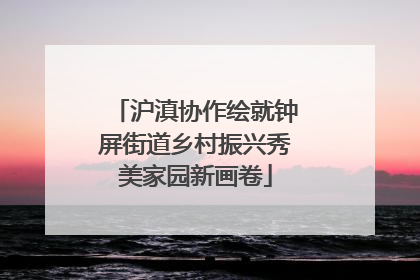 沪滇协作绘就钟屏街道乡村振兴秀美家园新画卷