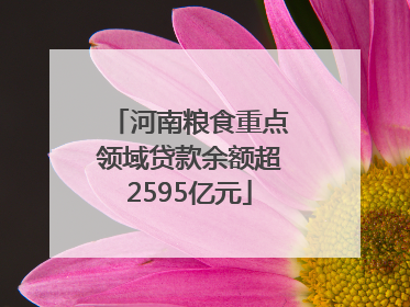 河南粮食重点领域贷款余额超2595亿元