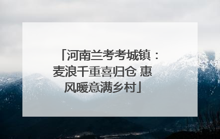 河南兰考考城镇：麦浪千重喜归仓 惠风暖意满乡村