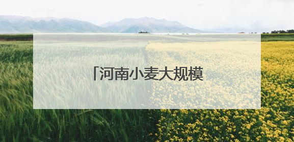 河南小麦大规模机收作业收官 全省麦收基本结束