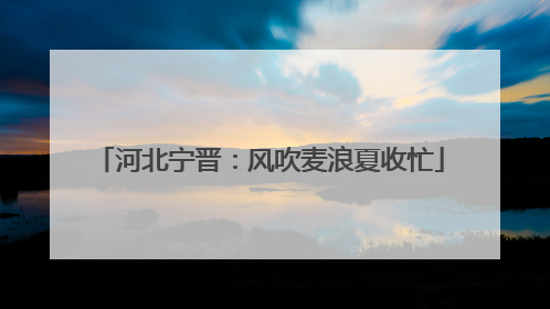 河北宁晋：风吹麦浪夏收忙