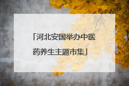 河北安国举办中医药养生主题市集