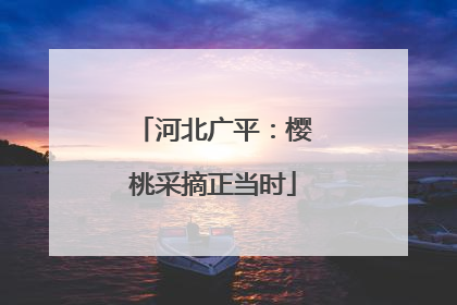 河北广平：樱桃采摘正当时