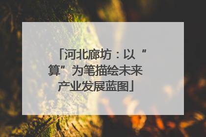 河北廊坊：以“算”为笔描绘未来产业发展蓝图