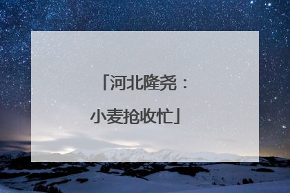 河北隆尧：小麦抢收忙