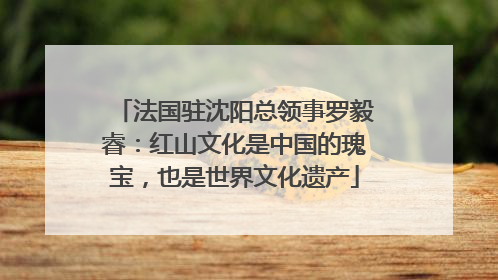 法国驻沈阳总领事罗毅睿：红山文化是中国的瑰宝，也是世界文化遗产