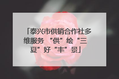 泰兴市供销合作社多维服务 “供”绘“三夏”好“丰”景