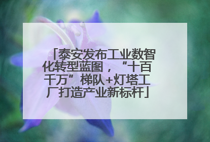 泰安发布工业数智化转型蓝图，“十百千万”梯队+灯塔工厂打造产业新标杆