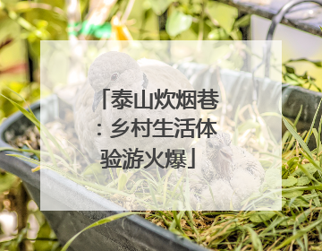泰山炊烟巷：乡村生活体验游火爆
