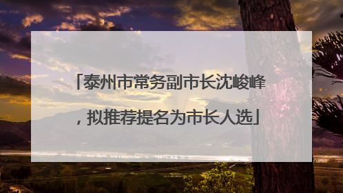 泰州市常务副市长沈峻峰，拟推荐提名为市长人选