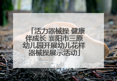 活力器械操 健康伴成长 襄阳市三原幼儿园开展幼儿花样器械操展示活动