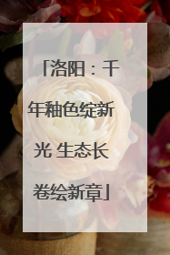 洛阳：千年釉色绽新光 生态长卷绘新章