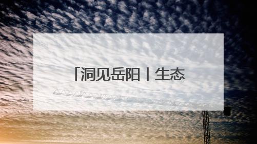 洞见岳阳丨生态赋能 文化铸魂 国际出圈——岳阳文旅何以吸引世界目光？