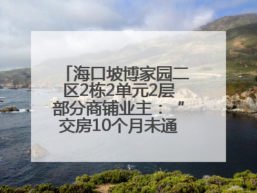 海口坡博家园二区2栋2单元2层部分商铺业主：“交房10个月未通自来水”