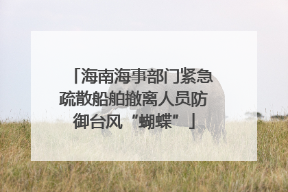 海南海事部门紧急疏散船舶撤离人员防御台风“蝴蝶”