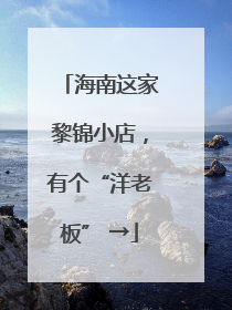海南这家黎锦小店，有个“洋老板” →