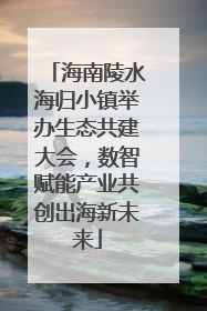 海南陵水海归小镇举办生态共建大会，数智赋能产业共创出海新未来
