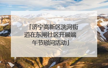 济宁高新区洸河街道在东闸社区开展端午节慰问活动