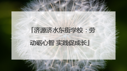 济源济水东街学校：劳动砺心智 实践促成长