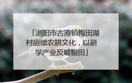 浏阳市古港镇梅田湖村赓续农耕文化，以研学产业反哺粮田