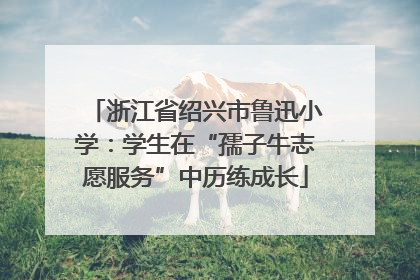 浙江省绍兴市鲁迅小学：学生在“孺子牛志愿服务”中历练成长