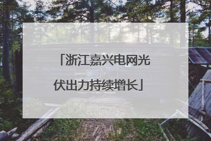 浙江嘉兴电网光伏出力持续增长