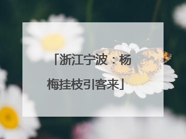 浙江宁波：杨梅挂枝引客来