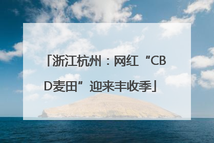 浙江杭州：网红“CBD麦田”迎来丰收季