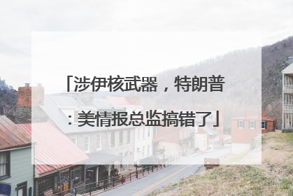 涉伊核武器，特朗普：美情报总监搞错了