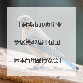 淄博市10家企业参展第42届中国国际体育用品博览会