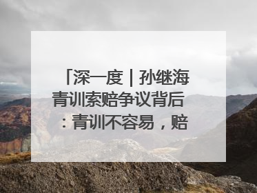 深一度｜孙继海青训索赔争议背后：青训不容易，赔偿可仲裁