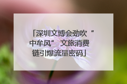 深圳文博会劲吹“中牟风” 文旅消费链引爆流量密码