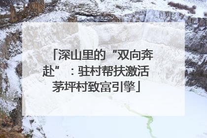 深山里的“双向奔赴”：驻村帮扶激活茅坪村致富引擎