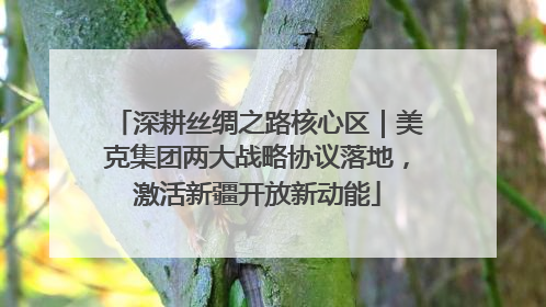 深耕丝绸之路核心区｜美克集团两大战略协议落地，激活新疆开放新动能