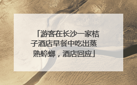 游客在长沙一家桔子酒店早餐中吃出蒸熟蟑螂，酒店回应