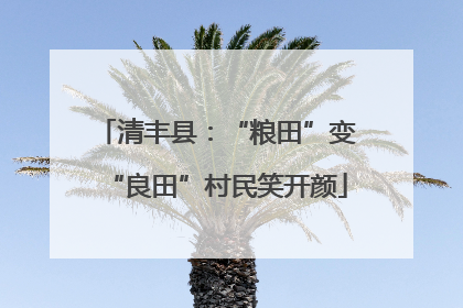 清丰县：“粮田”变“良田”村民笑开颜