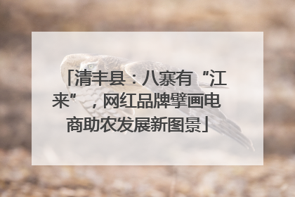 清丰县：八寨有“江来”，网红品牌擘画电商助农发展新图景