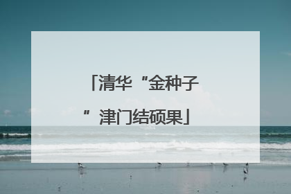 清华“金种子”津门结硕果